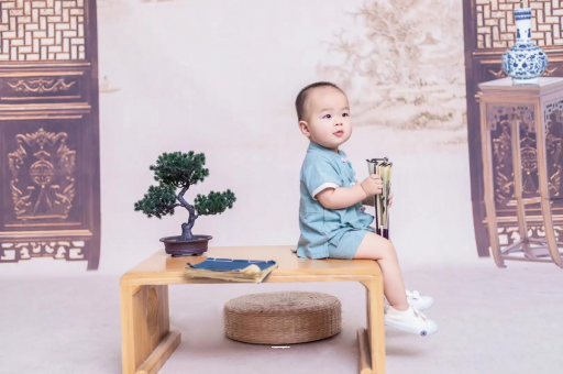 借卵生子咨询可爱的企鹅宝宝